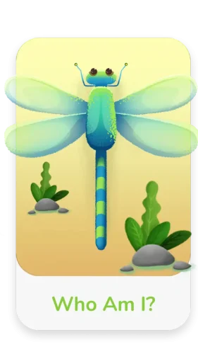 PlayShifu_App_game (5)